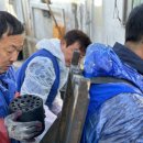 헤세드신경외과의원 이미지