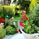 라온뜨락 이미지