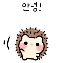 팔당원조칼제비강릉남항진점
