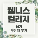 (주)인성에너지 | [웰니스컬리지 14기🌿] 4주 차 후기 _ SEE-Learning(씨러닝), Sound-Bath(사운드 배스) _ 1편
