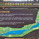 한성3차, 장자호수공원,구리고교 정류장(좌) | 서울근교 벚꽃 명소 구리 장자호수공원 장자호수 벚꽃마실