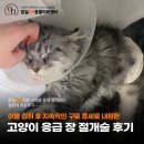 24시 잠실온 동물병원 이미지
