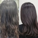 풍무로 68번길 | 김포 클리닉 후기 풍무동 미용실 클래시크 풍무점에서 머릿결 부활