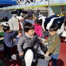 인종목장 이미지