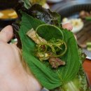 청송생고기 이미지