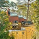 피콕빌리지 펜션 이미지