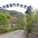 비욘드브릿지 이미지