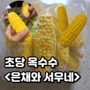 은채와서우네, 초당옥수수제철엔 여기서! 전자레인지 3분이면 꿀맛보장
