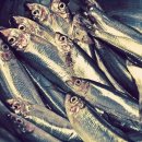 유엔아이메디컬 이미지