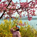 스튜디오천변만화
