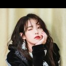 개이쁘다 이미지