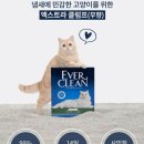 에버크린 | 고양이 모래) 에버크린 엑스트라 클럼프 무향 후기