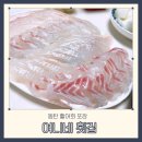 여니네 | 동탄 활어회 포장 전문 산척동 여니네 횟집 후기