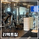 리액트짐 | [리액트짐] 모티피지오로 체형분석과 장유재활PT 체험 후기