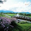 스프링데일 골프&리조트 (대중형 18홀) | 강원도 고성 파인리즈CC 1박2일 골프패키지 4월 봄나들이 설악의 정취를 만끽하는 라운딩