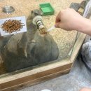 비즈벅스 | [광주 아이랑 갈만한 곳] 눈으로 보고 손으로 만지는 '광주 벅스 랜드' 리얼 후기 l 광주 실내 동물원