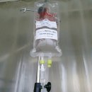 272-2140 | 자가조혈모세포이식 삼성병원 무균실 입원 상세기록 ep.2 (f.부설판)