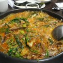 한올채