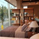 카사미아 이미지