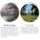 대림종합건설(주) 이미지