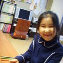 솔리테리 이미지