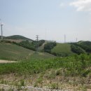 청송목장2 이미지