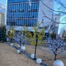 마곡위시빌리지 이미지