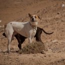 퀸즈동물병원 이미지