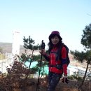 대곶초교 이미지