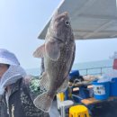 킹콩낚시 이미지