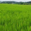 북성농장 이미지