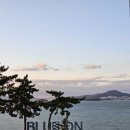 블루온리조트 | 여수 블루온리조트 선셋 101호 후기