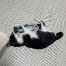 시유편의점 이미지