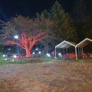 명성풍천장어 이미지