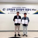 플랙스 이미지