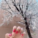 산본 네일바 네일맛집 멀어도 꼭 여기가요 ♥