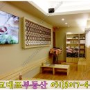 면역공방(수지점) 이미지