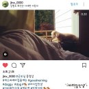 은하수 펫푸드 | 마치집인냥 힐링센터 5월 황금연휴 이야기 + Insta 후기들 모음!
