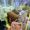 뽑기뽑기 | 인천 검단 인형뽑기 완정역 인형뽑기방 후기!