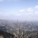 윗대티 등산로 이미지