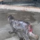 제주퍼시픽 이미지