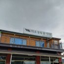 이호정육점