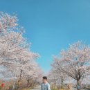 맹산리 농장 네이버블로그