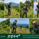 제주벌초