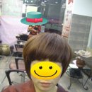 무지개헤어칼라