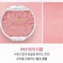 (주)더즐