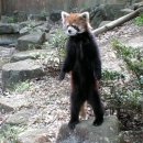용래 이미지