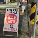 탑동닭집 이미지