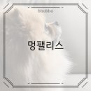 멍팰리스 이미지