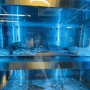 곡성-185 | 곡성 기차마을 맛집 화로담 불고기정식 아이랑 가기 좋은 가족 외식 후기